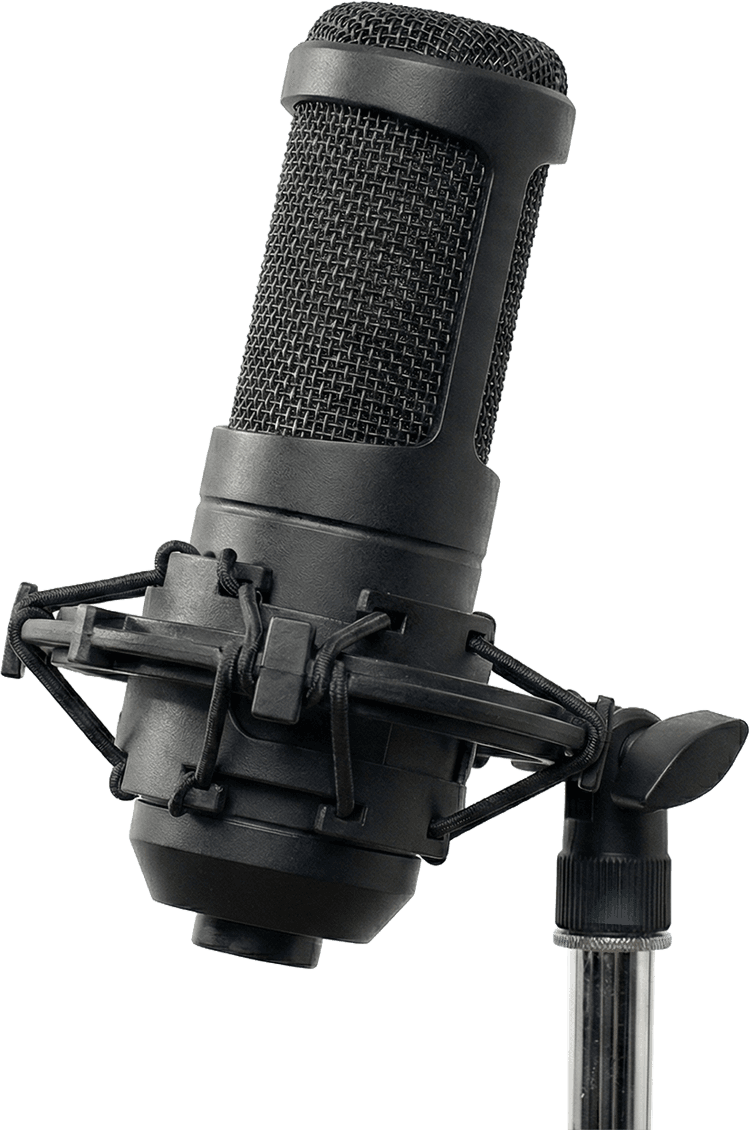 Studio Microphone